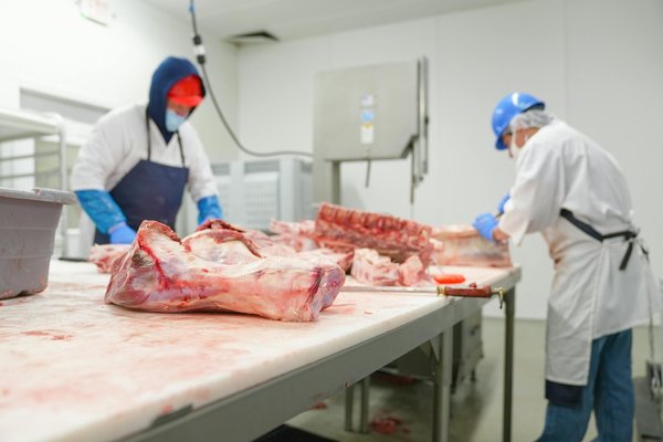 Équipements professionnels pour boucherie : solutions adaptées à votre métier